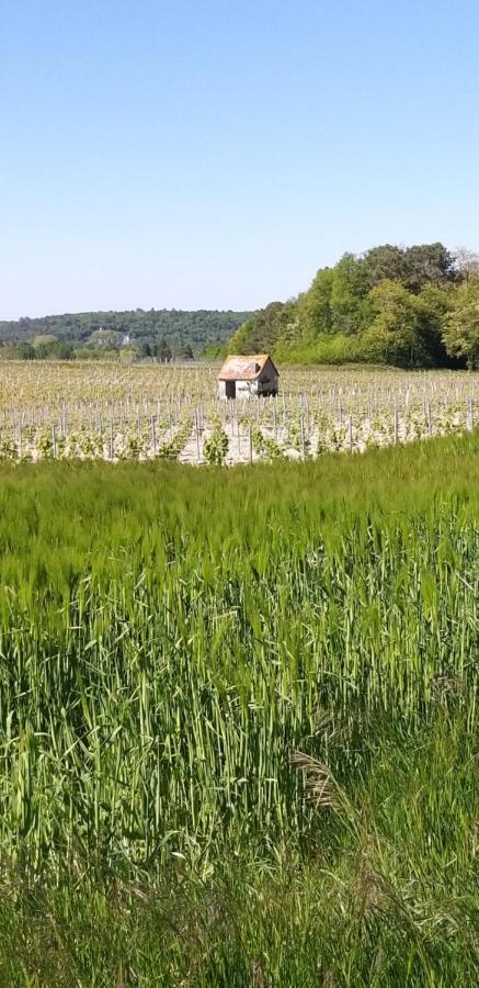 Le Clos De La Chesneraie Saint-Georges-sur-Cher Buitenkant foto